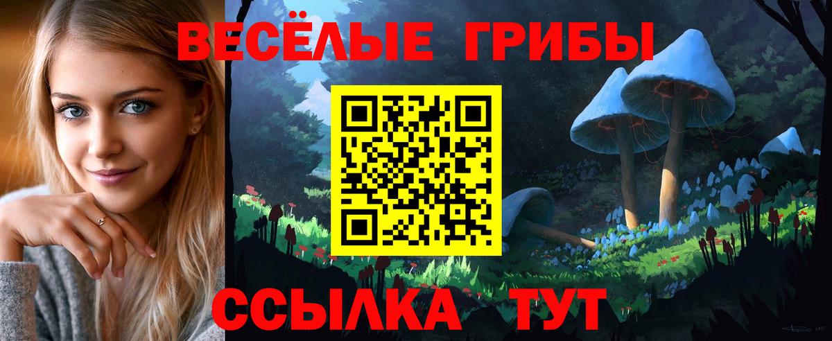 Дербент  Галлюциногенные грибы мухоморы  купить наркотик  Вход с VPN 